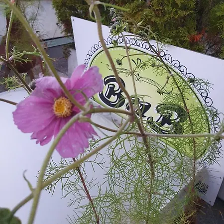 Haus Weibel 3* Landquart