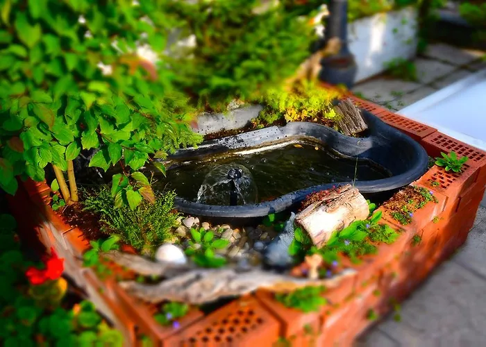 Bed & Breakfast Haus Weibel Landquart