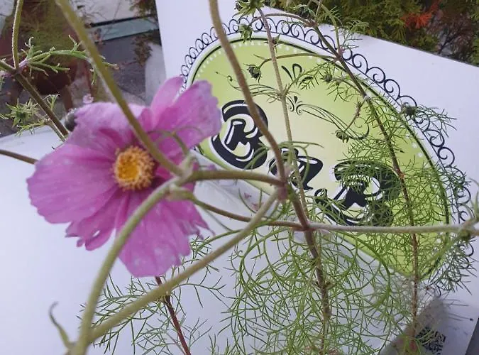 Haus Weibel 3* Landquart