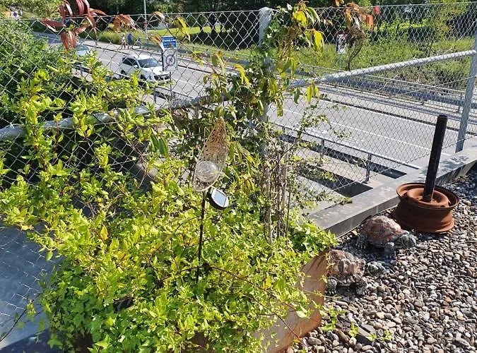 Haus Weibel Alojamento de Acomodação e Pequeno-almoço Landquart