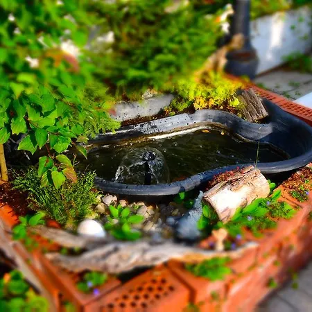 Bed & Breakfast Haus Weibel Landquart